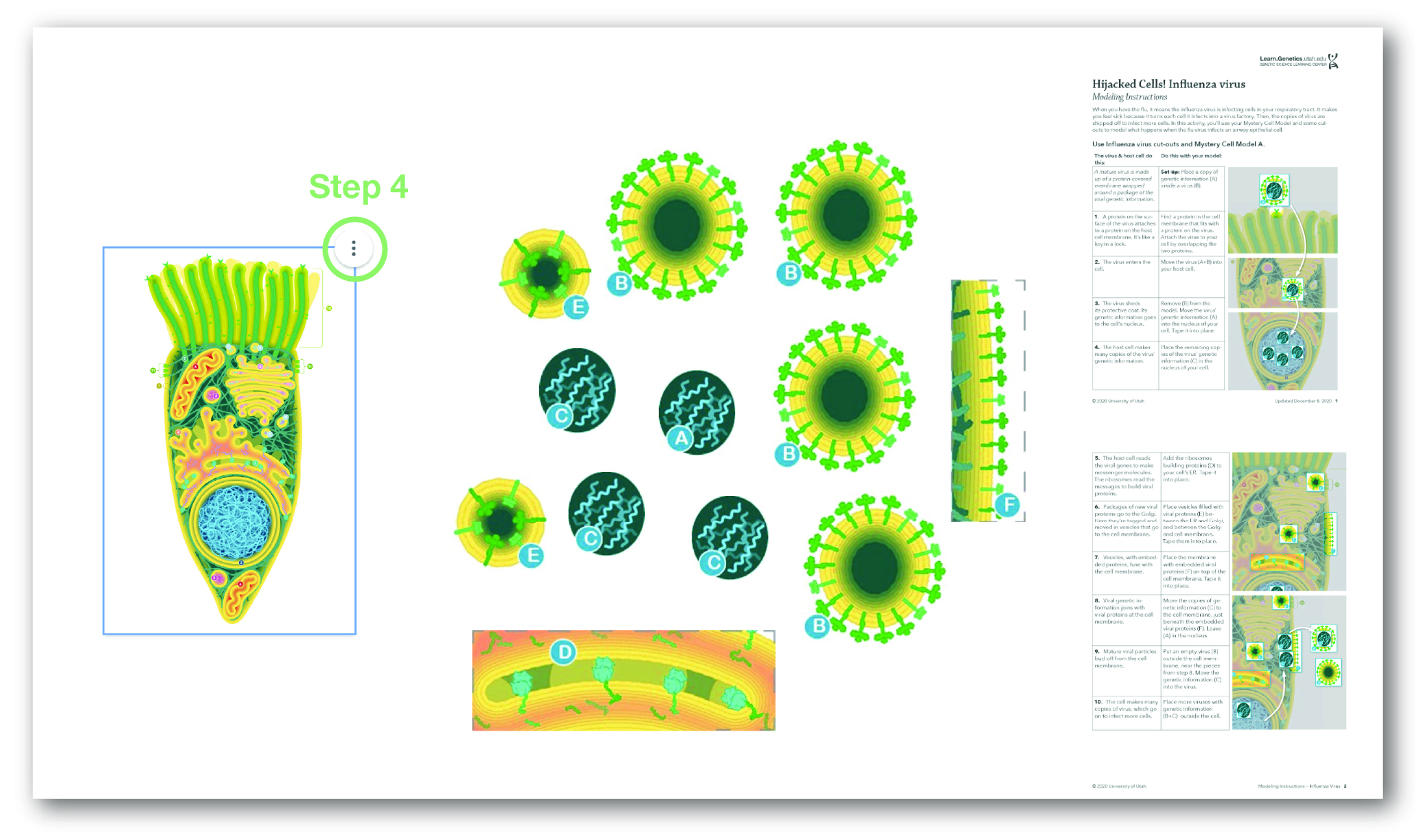 Jamboard instructions for adding images.