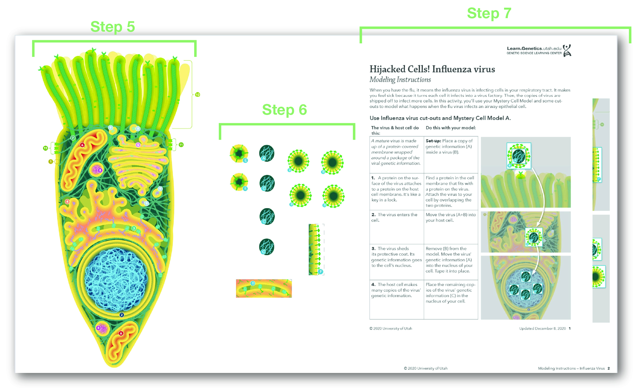 Jamboard instructions for resizing images.